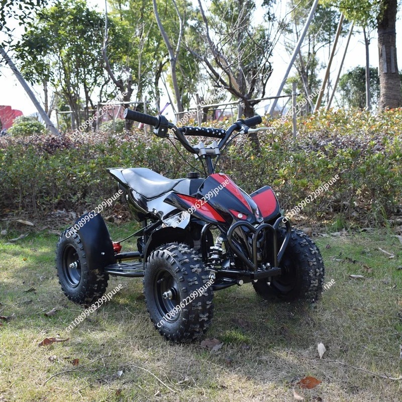 49cc 2 Zamanlı Mini Motosiklet - Kids Outdoor Quad Bike incelemesi ve fiyatı