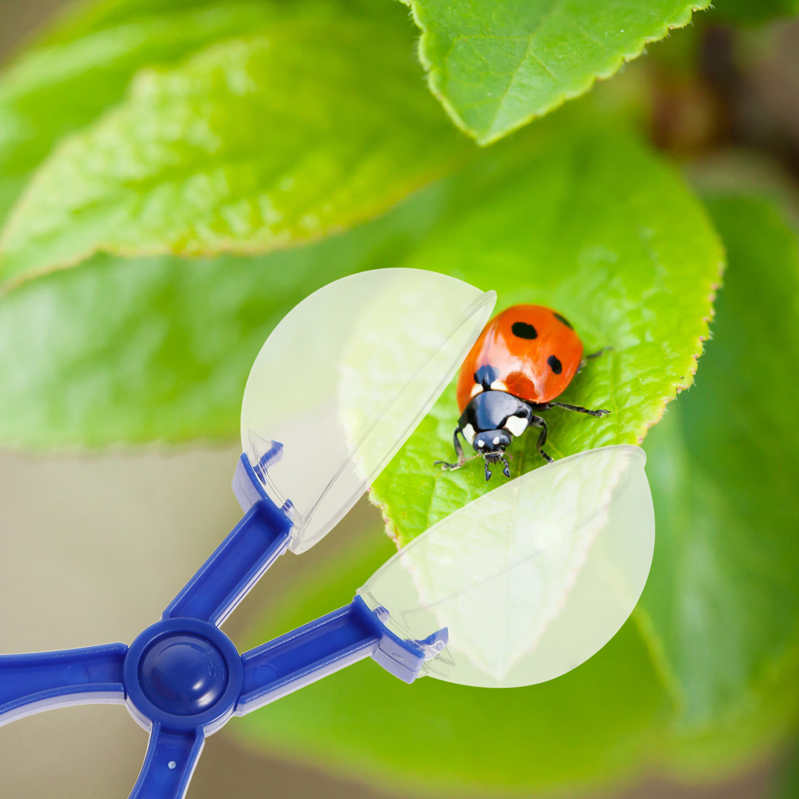 8 Parça Böcek Yakalama Makası  - Kids Outdoor Education incelemesi ve fiyatı