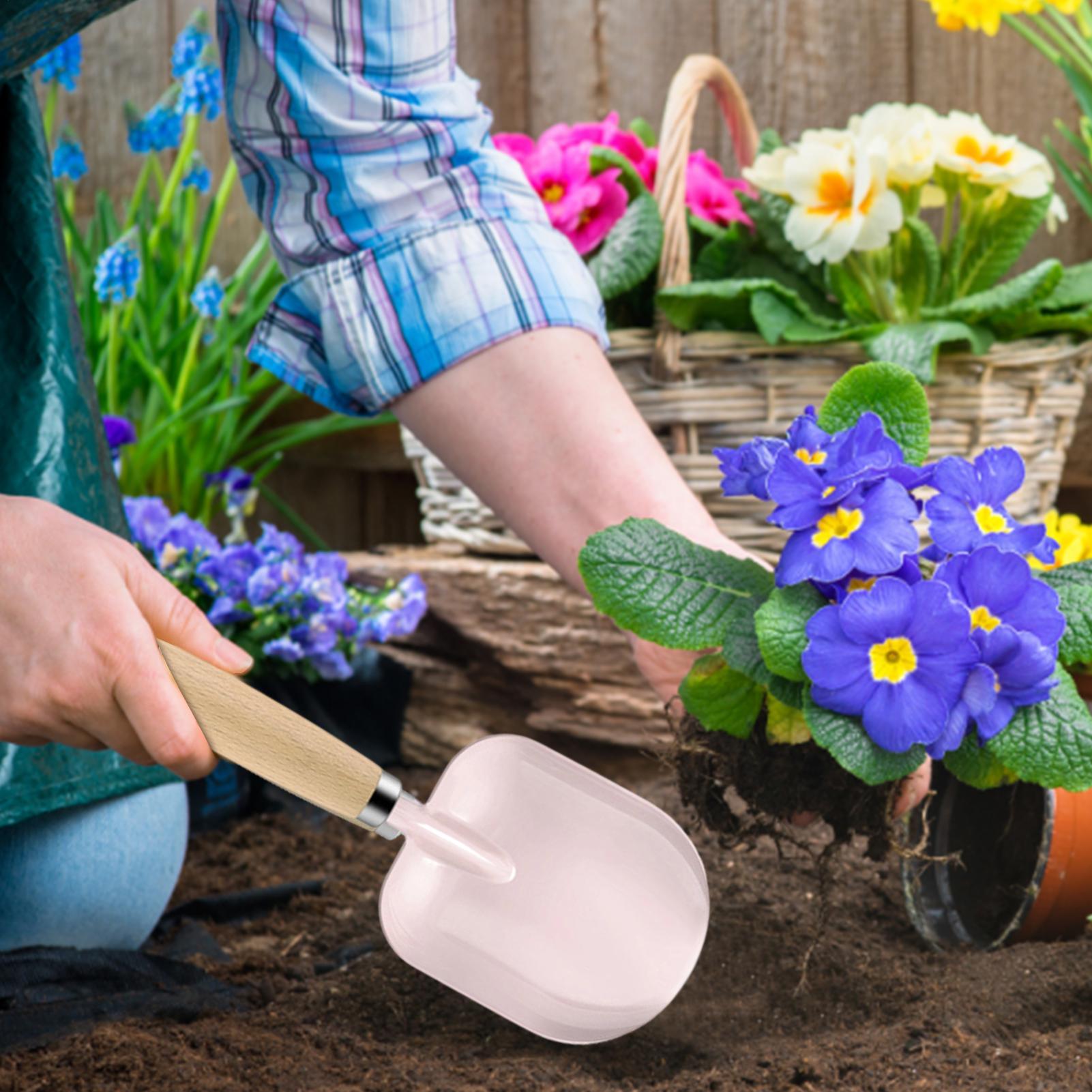 Çocuklar için açık hava oyunca - Kids Outdoor Dirt Toys incelemesi ve fiyatı